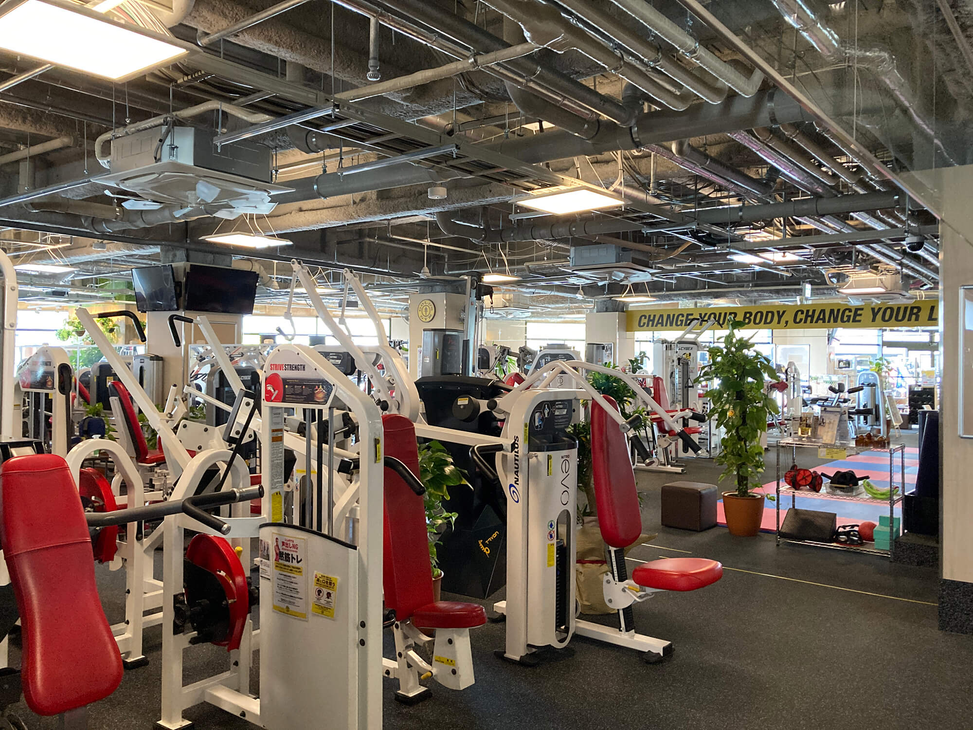 GOLD GYM金山店